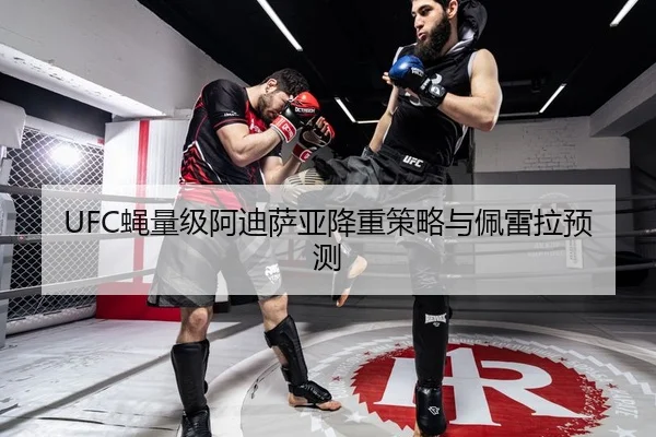 UFC蝇量级阿迪萨亚降重策略与佩雷拉预测